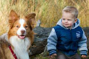 Foto van een hond en kind die naast elkaar zitten